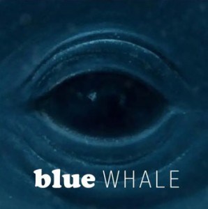 frank-ocean-bluewhale-1